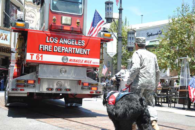 Los Angeles Fire Department Vehicle